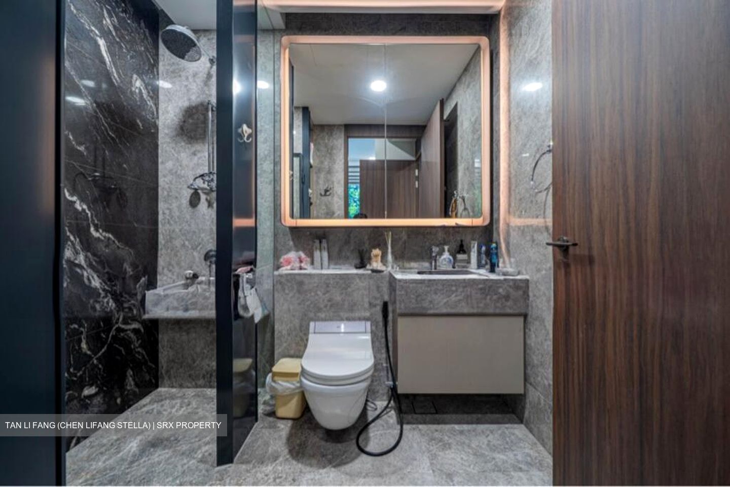 Van Holland (D10), Condominium #521131291